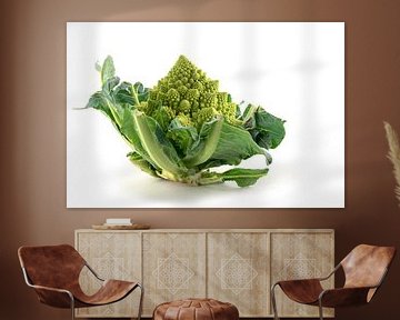 Romanesco-Brokkoli oder römischer Blumenkohl, isoliert auf weißem Hintergrund, grünes Gemüse, organi von Maren Winter