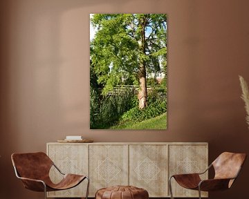 Boom met houten Brug_HMS