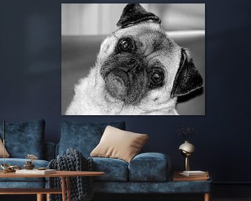 Mopshond by Philippe Papegaai