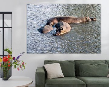 Nijlpaard in de Chobe rivier in Botswana van Merijn Loch