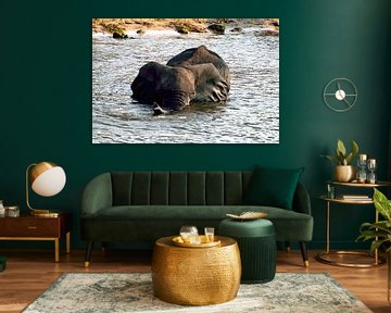 Elephant takes a bath in the Chobe in Botswana by Merijn Loch