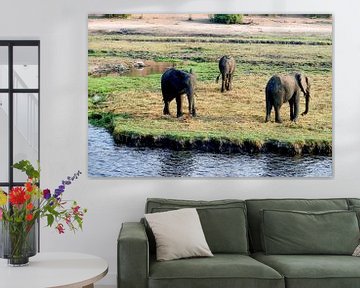 De olifant van Chobe National Park van Merijn Loch