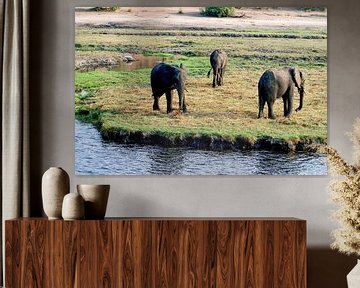 De olifant van Chobe National Park van Merijn Loch