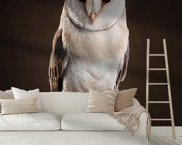 Barn owl by Elles Rijsdijk