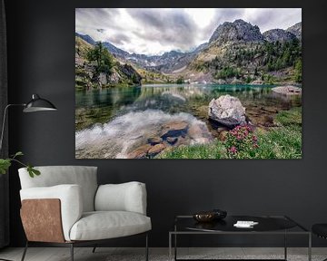 Trecolpas van Manjik Pictures