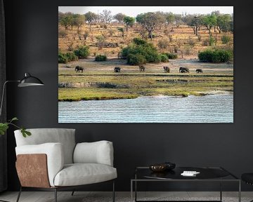 beautiful landscape with elephants in Chobe national park by Merijn Loch