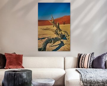 Dead vlei Namibia by Danielle van Leeuwaarden