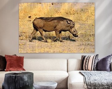 Warthog/Nosed boar by Merijn Loch