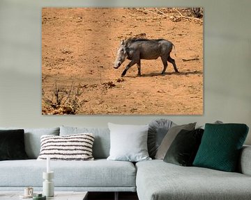 Warthog by Merijn Loch