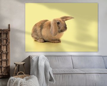 Bunny in yellow by Elles Rijsdijk