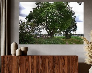 Trees 2