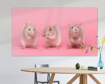 Drei kleine Ratten von Elles Rijsdijk