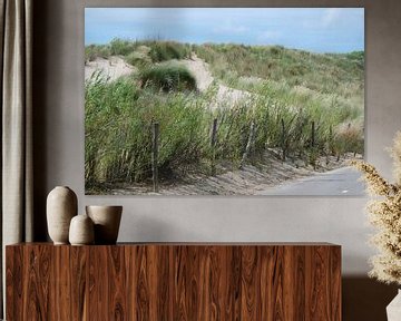 Schilderachtige foto van duinen van Suzanne Brok
