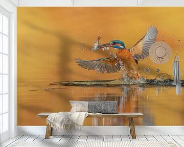 Kingfisher with perch by Wim Hufkens