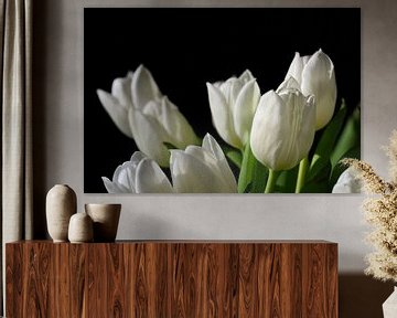 Witte tulpen bloeien tegen een zwarte achtergrond van Ulrike Leone
