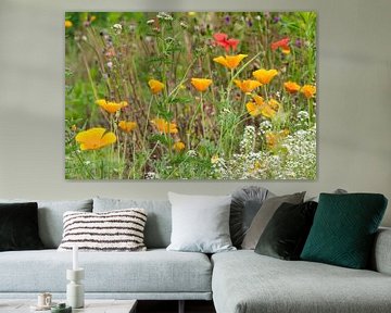 Le paradis des champs de fleurs colorées en juillet sur Jolanda de Jong-Jansen