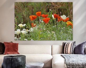 Farbige Feld-Wildblumen von Jolanda de Jong-Jansen