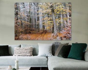 Winteranfang auf einem herbstlichen Waldweg mit buntem Laub und weißem Raureif auf den Zweigen von Maren Winter