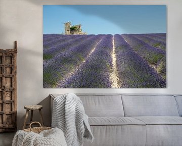 Lavender field with dilapidated cottage by Jolanda van Eek en Ron de Jong