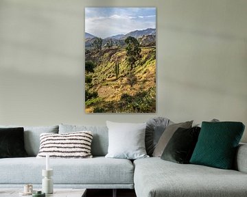 Canyon de Colca sur Joost Potma