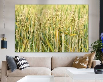 Un champ de blé en été sur Ulrike Leone