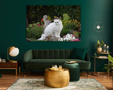 Katze mit Löwenstatue