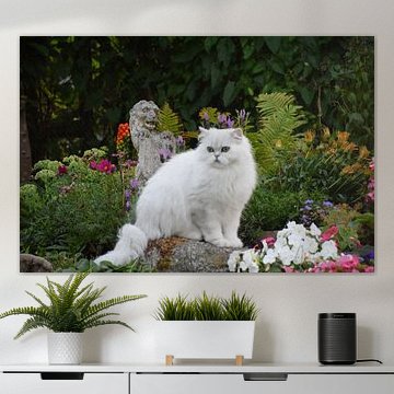 Kat met Leeuwenbeeld