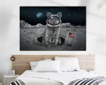 De kat op de maan