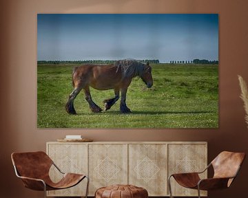 Horse in  Landscape of Zeeland