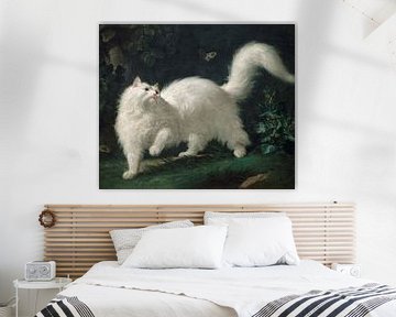 Jean-Jacques Bachelier~Witte Angora kat op jacht naar een Butterfly