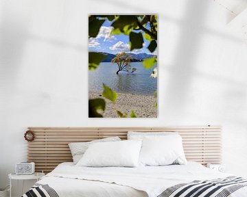 Wanaka Tree - Neuseeland von Be More Outdoor