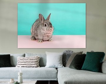 Rabbit in pink and blue by Elles Rijsdijk