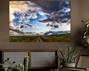 der Wolkenhimmel über der Landschaft färbt das Ganze wunderschön von Hans de Waay