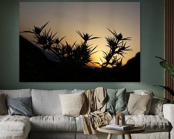 La Provence. Coucher de soleil sur Willem Holle WHOriginal Fotografie