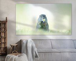 Voorbeeld van het werk in een kamer