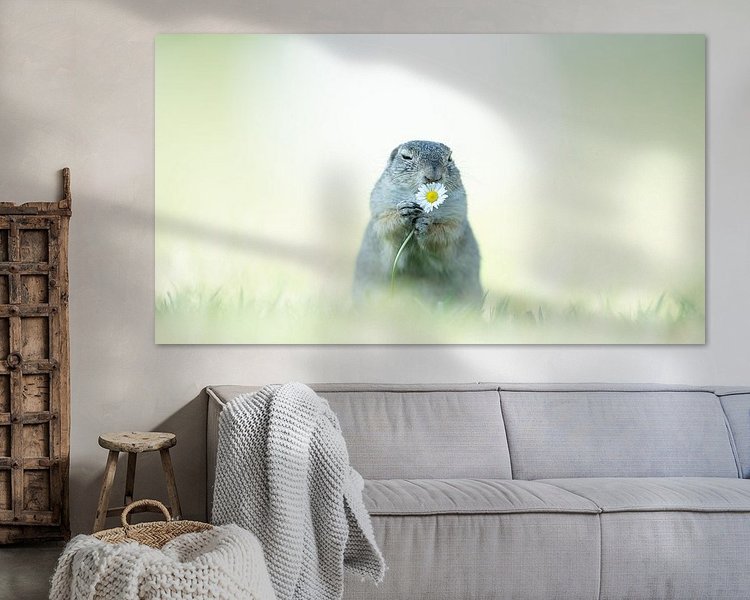 Voorbeeld van het werk in een kamer
