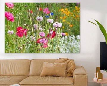 Wilde roze bloemen in het veld van Jolanda de Jong-Jansen