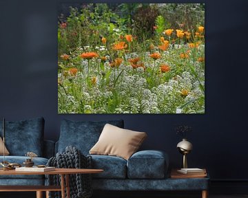 Oranje velden met wit van Jolanda de Jong-Jansen