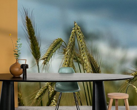 Raumvorschau