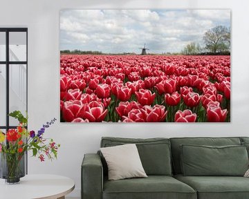 Tulipes et moulin sur Willem Holle WHOriginal Fotografie