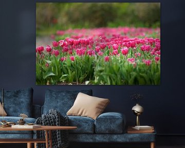 La Tulipe sur Willem Holle WHOriginal Fotografie