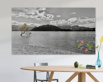 Wanaka Tree: Zwart wit foto in de herfst (Nieuw Zeeland) van Be More Outdoor