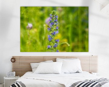 Wald Blumen Feld Landschaft Erzgebirge Pilze von Johnny Flash