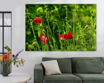 Wald Blumen Feld Landschaft Erzgebirge Städte Dörfer