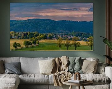 bos bloemen veld landschap Erzgebirge bergen steden dorpen van Johnny Flash