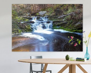 Wasserfall in Hoëgne (Ardennen Belgien) von Greet Thijs