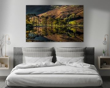 Buttermere Pine, Lake District, England von Adelheid Smitt