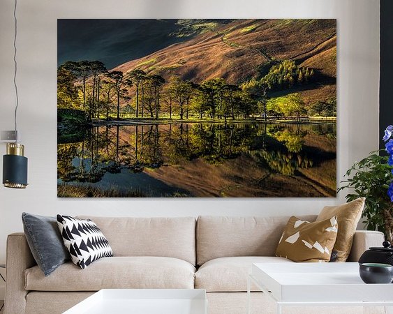 Aperçu de la chambre