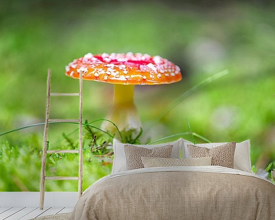 Aperçu de la chambre