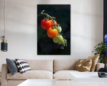 Tomaten van PvdH Fotografie